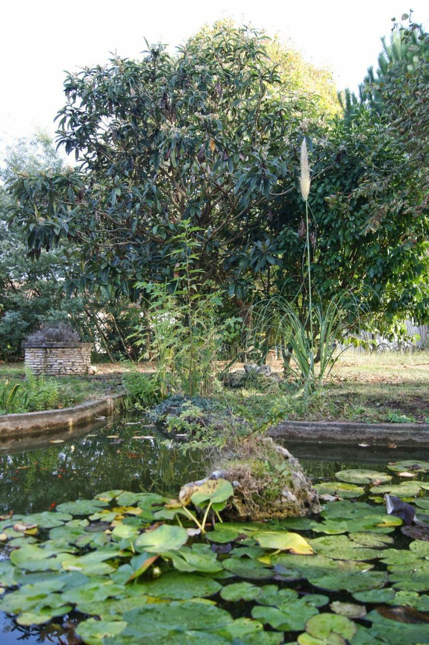 Le Grenier De Louisette Bed & Breakfast Libourne Eksteriør bilde