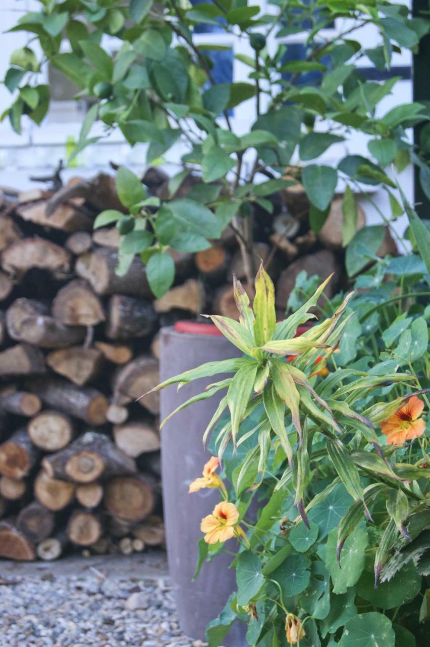 Le Grenier De Louisette Bed & Breakfast Libourne Eksteriør bilde